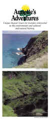Annettes4.jpg (254285 bytes)