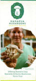 Hamakua Mushrooms Brochure