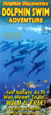 Dolphin Swim Adventure Brochure