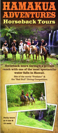 Hamakua Adventures Horseback Tours